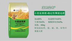 年后小麦田间管理二三事